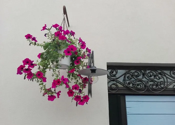 Tambien B&B Pesaro